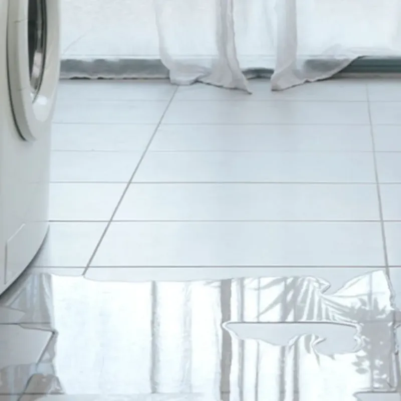 Appliance Leak Cleanup in McCall, ID