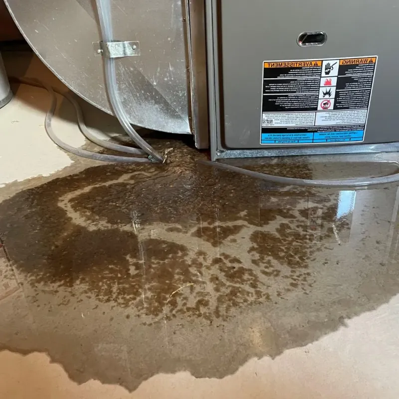 Pipe Burst and Leak Restoration in McCall, ID